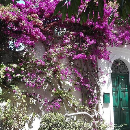 Il Gelso Anacapri (Isola di Capri) Exterior foto