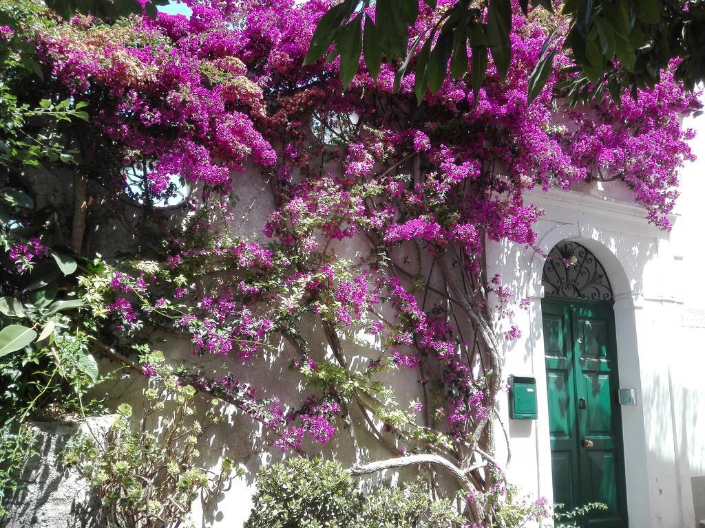 Il Gelso Anacapri (Isola di Capri) Exterior foto