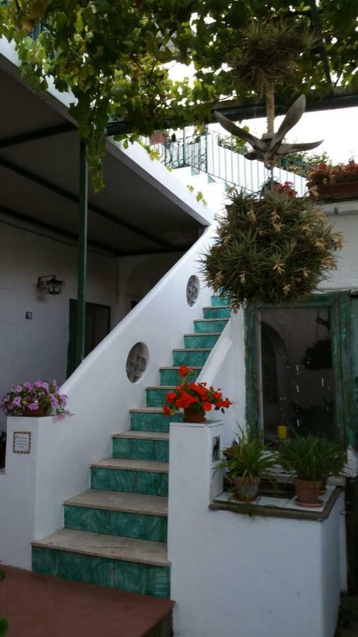 Il Gelso Anacapri (Isola di Capri) Exterior foto