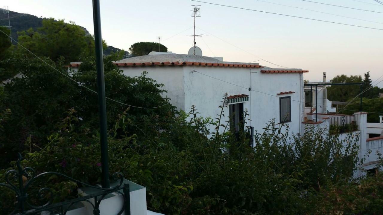 Il Gelso Anacapri (Isola di Capri) Exterior foto