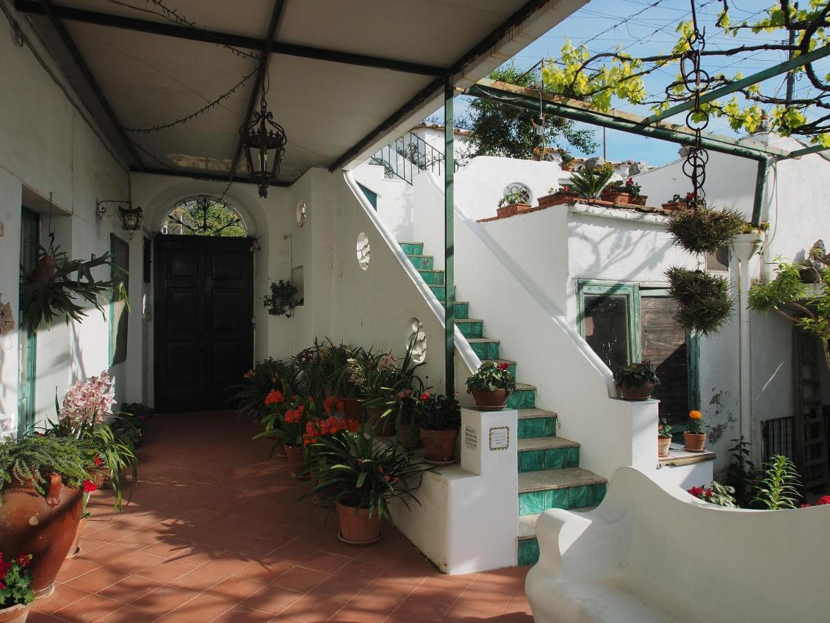 Il Gelso Anacapri (Isola di Capri) Exterior foto